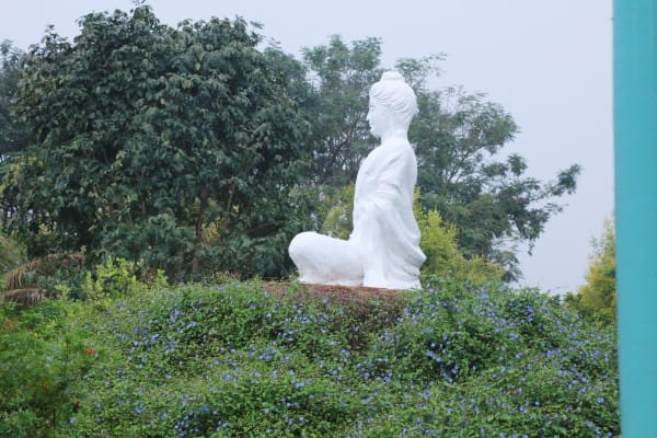 Meditation statue surrounded by blue flowers