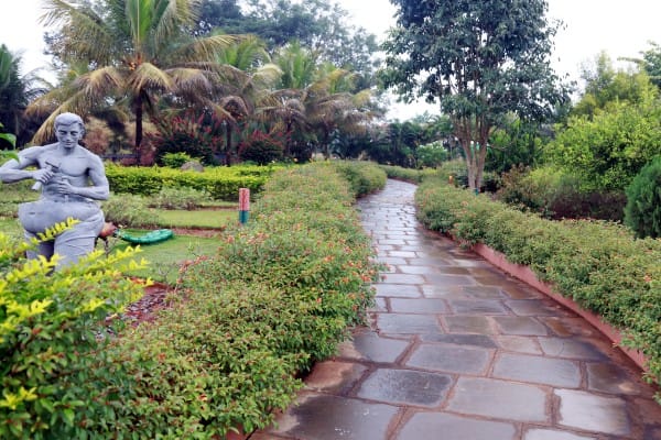 Paved walking pathway winding between clipped hedges and palms